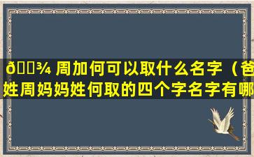 🌾 周加何可以取什么名字（爸爸姓周妈妈姓何取的四个字名字有哪些）